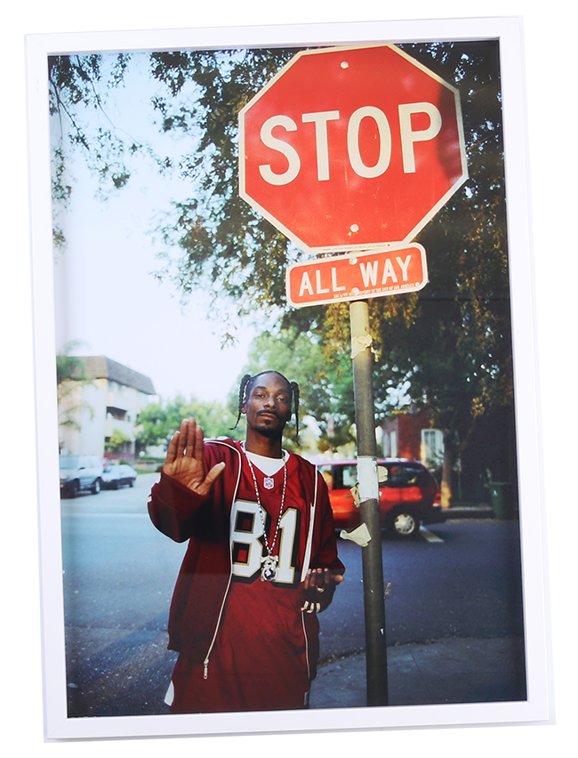 Snoop Stop (18 x 26) フォト